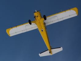 A beaver aircraft carrying the Hyspex sensors flying on a clear day. Photo credit: Meghan Murphy