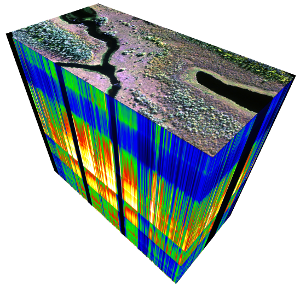 Hypercube generated from a subset of the Yukon Flats study site in Alaska. Image credit: Dr. Marcel Buchhor, HyLab UAF