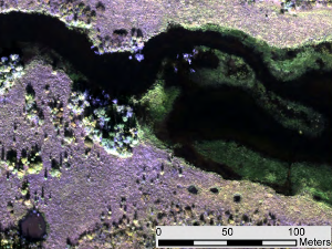 A sample of hyperspectral imagery over a small part of the Yukon wetlands